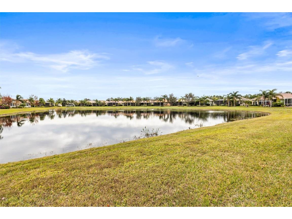 16051 Golden Lakes Drive Wimauma FL 33598 TB8446495 image28