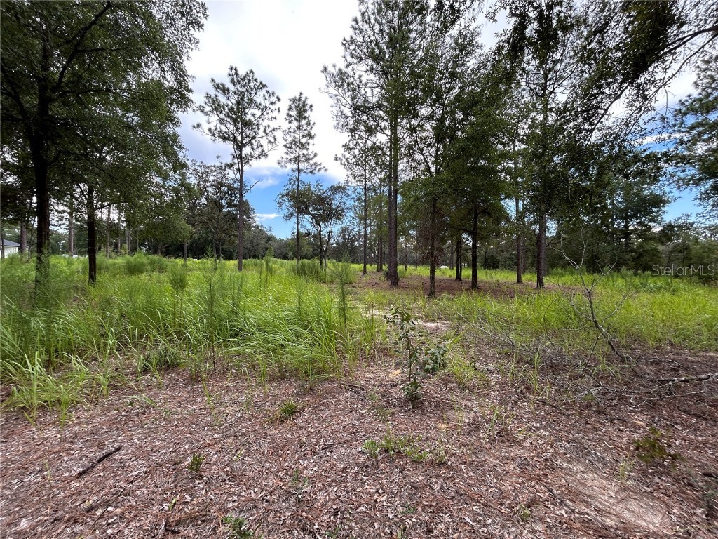 16051 SW 44 Street Ocala FL 34481 O6342560 image1