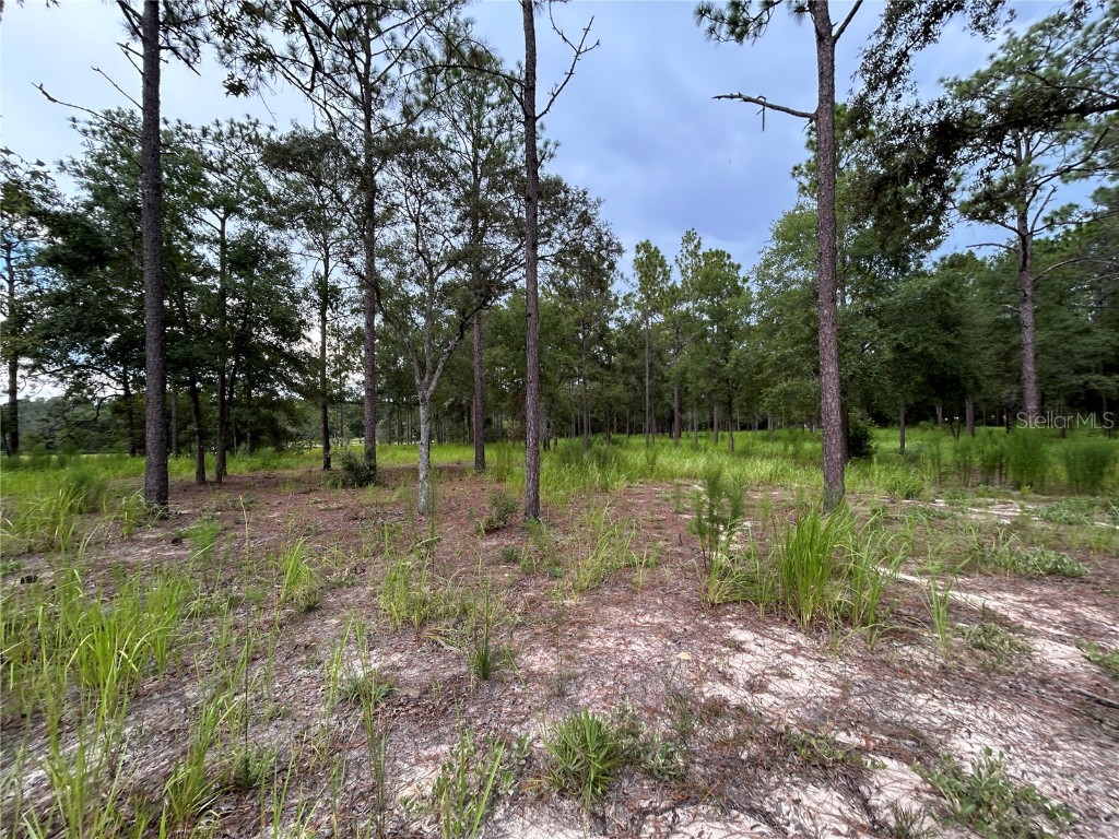 16051 SW 44 Street Ocala FL 34481 O6342560 image10