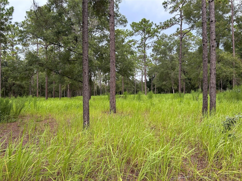 16051 SW 44 Street Ocala FL 34481 O6342560 image2