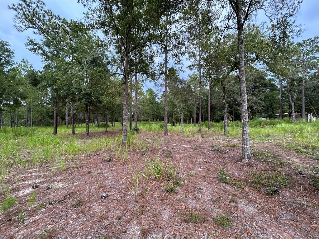 16051 SW 44 Street Ocala FL 34481 O6342560 image3