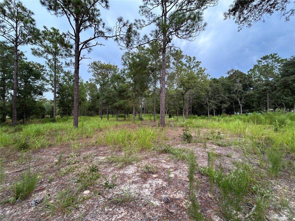 16051 SW 44 Street Ocala FL 34481 O6342560 image5