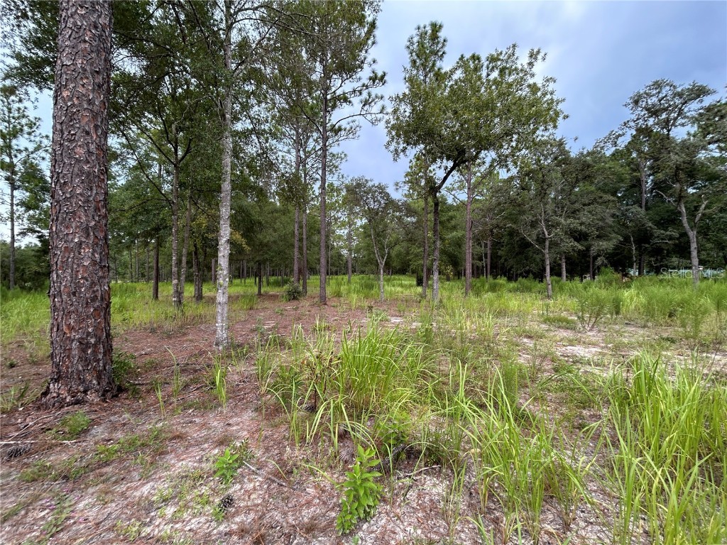 16051 SW 44 Street Ocala FL 34481 O6342560 image6