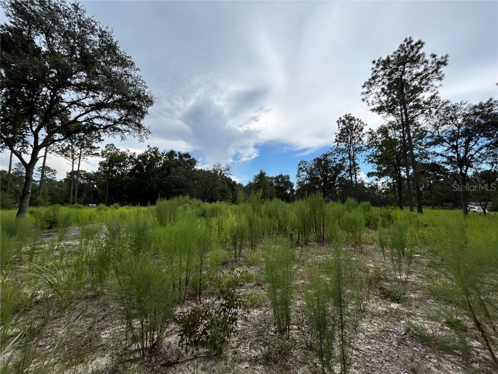 16051 SW 44 Street Ocala FL 34481 O6342560 image9