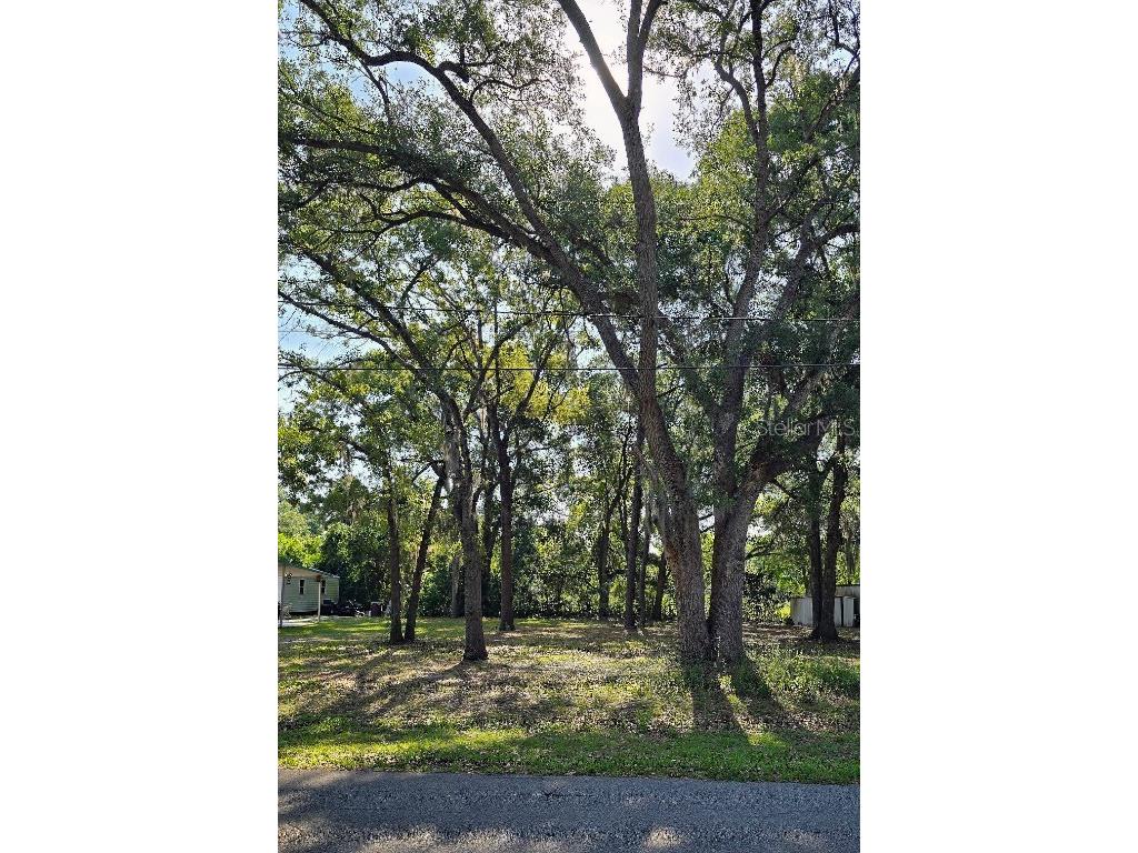 16055 SE 99th Terrace Summerfield FL 34491 G5097318 image1