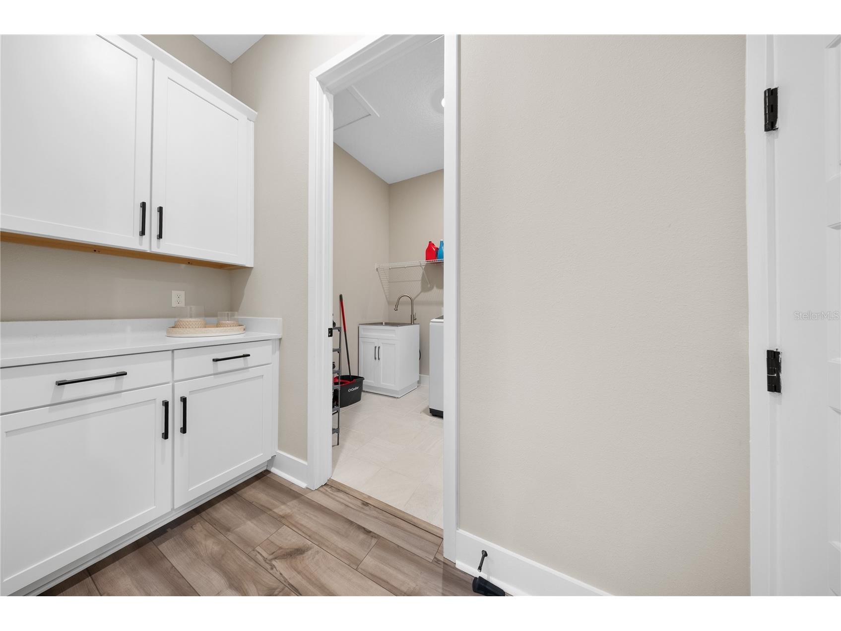 16055 Silver Brook Way Winter Garden FL 34787 O6414023 image21