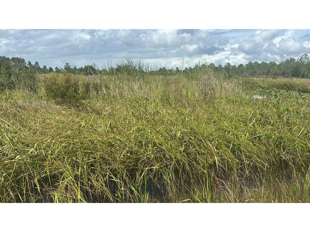 16057 NW 308th Street Okeechobee FL 34972 O6355615 image4