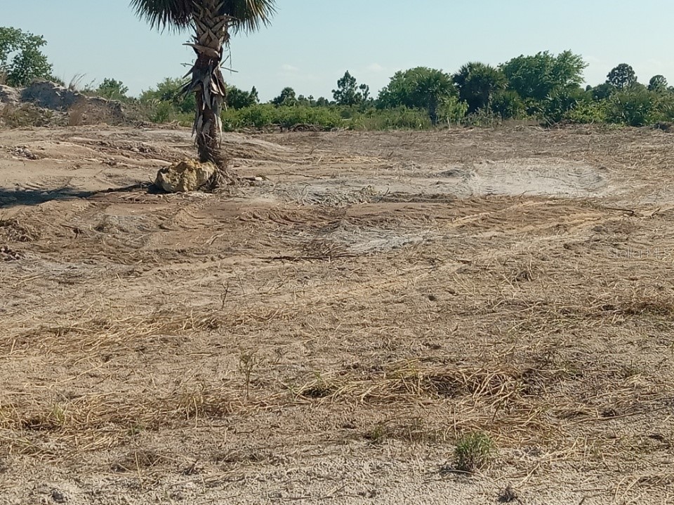 16058 NW 290th Street Okeechobee FL 34972 OK225478 image12