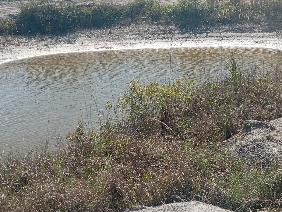 16058 NW 290th Street Okeechobee FL 34972 OK225478 image2