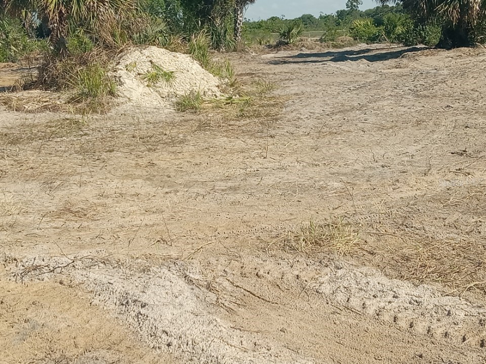 16058 NW 290th Street Okeechobee FL 34972 OK225478 image3