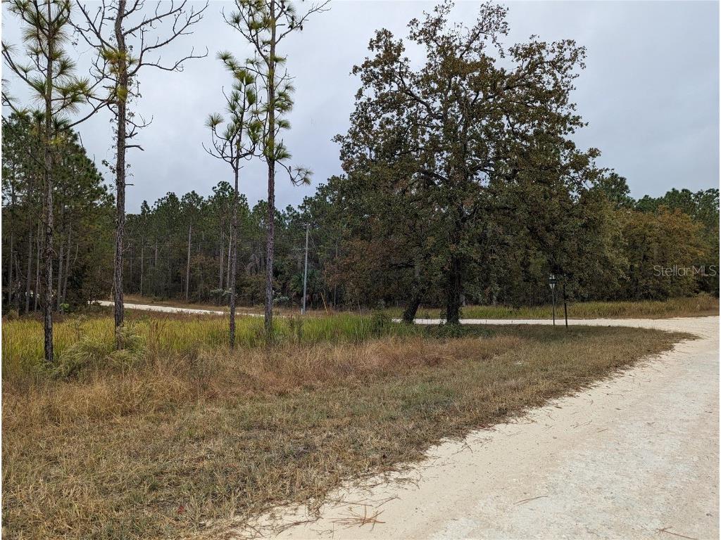 16058 Penn State Road Weeki Wachee FL 34614 U8221386 image1