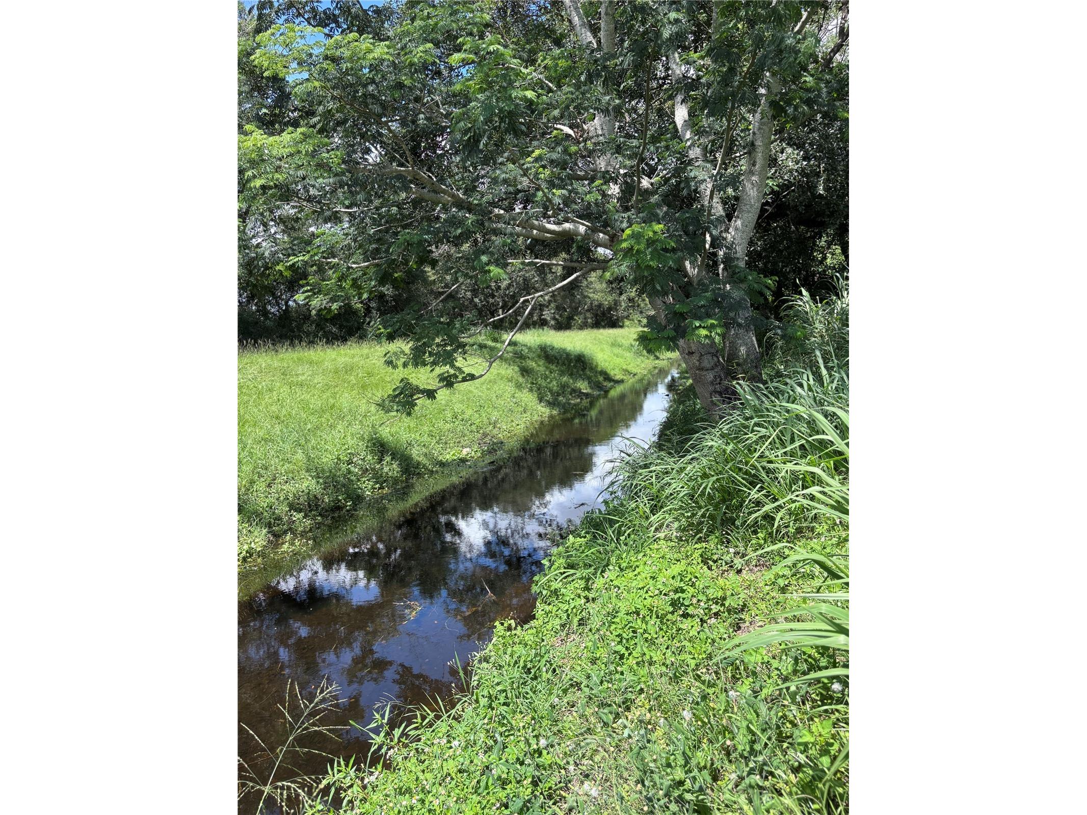 1606 11th St Orlando FL 32824 TB8408246 image10