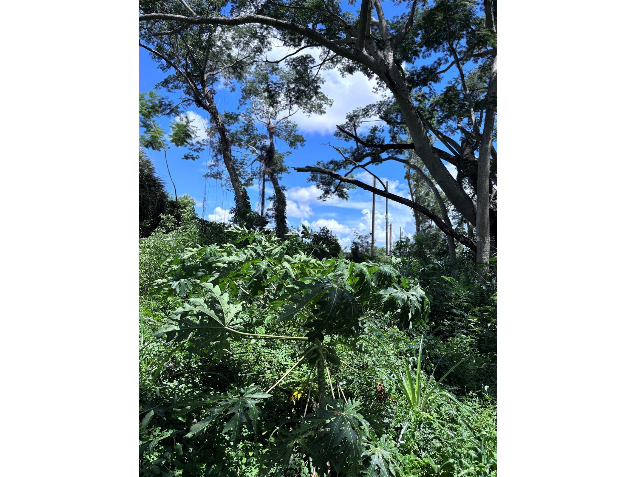 1606 11th St Orlando FL 32824 TB8408246 image13