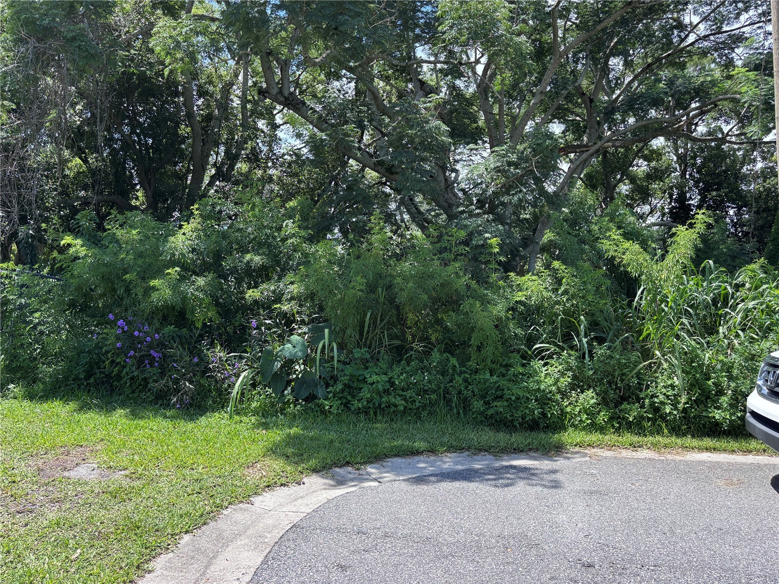 1606 11th St Orlando FL 32824 TB8408246 image14