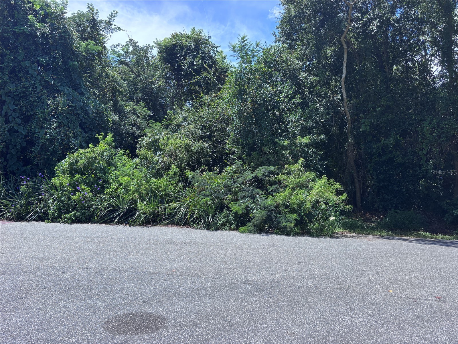 1606 11th St Orlando FL 32824 TB8408246 image16