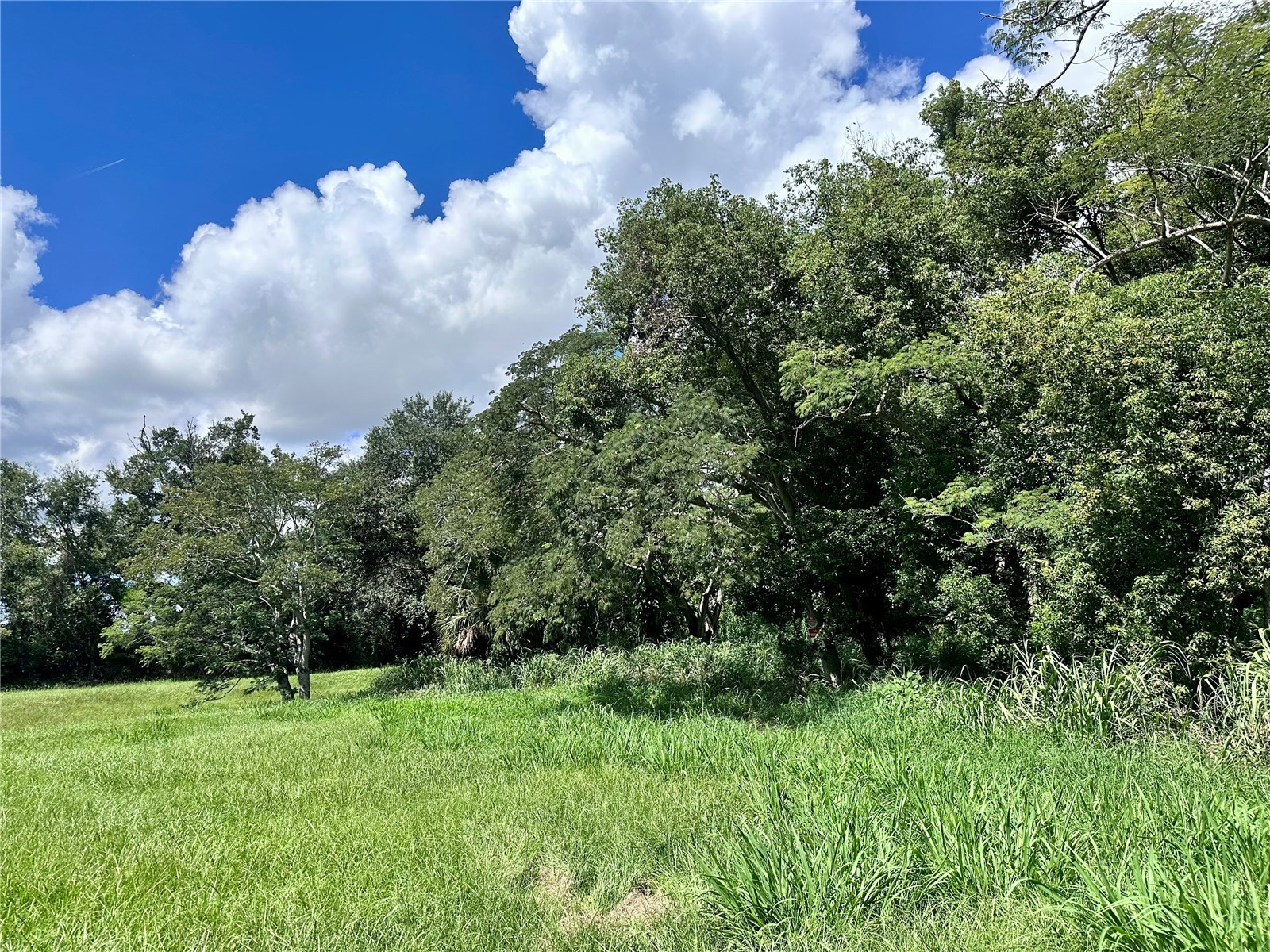 1606 11th St Orlando FL 32824 TB8408246 image21