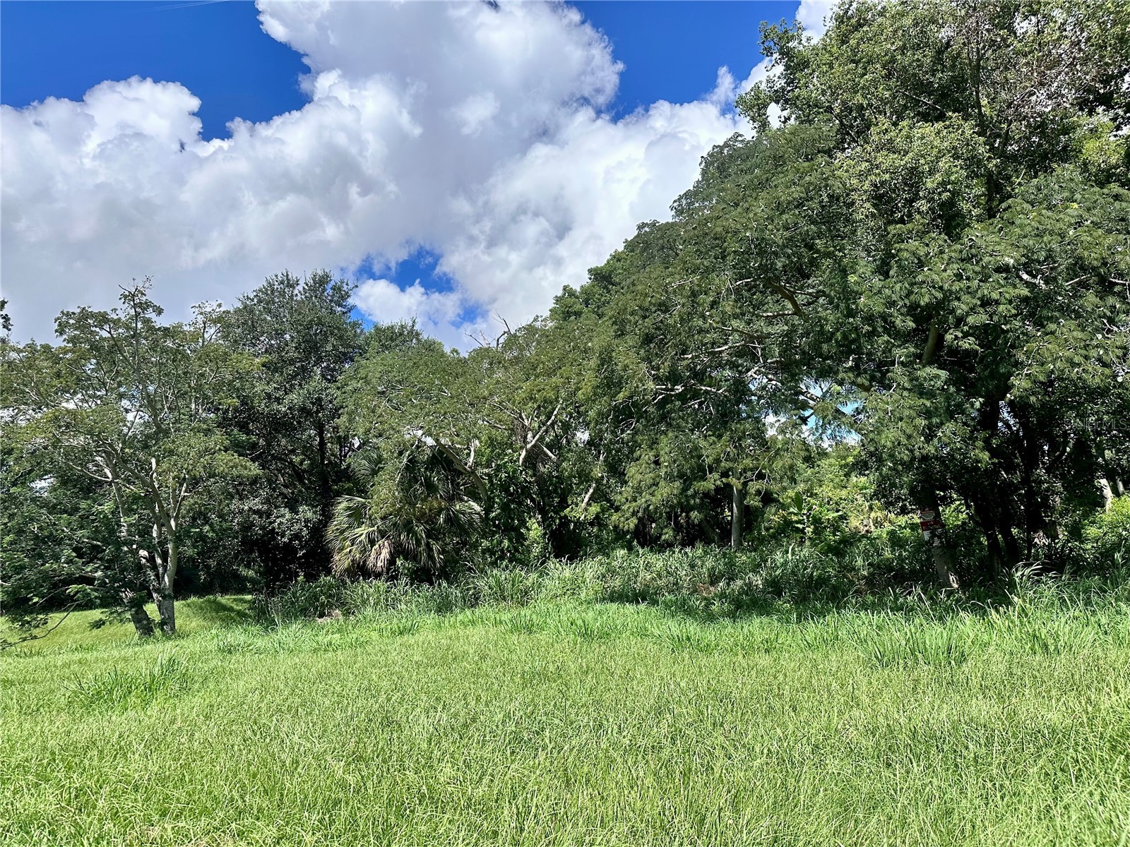 1606 11th St Orlando FL 32824 TB8408246 image24