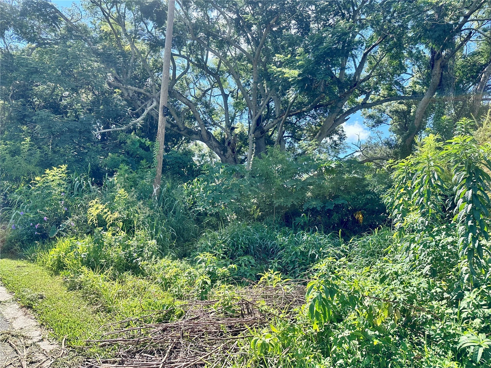 1606 11th St Orlando FL 32824 TB8408246 image26