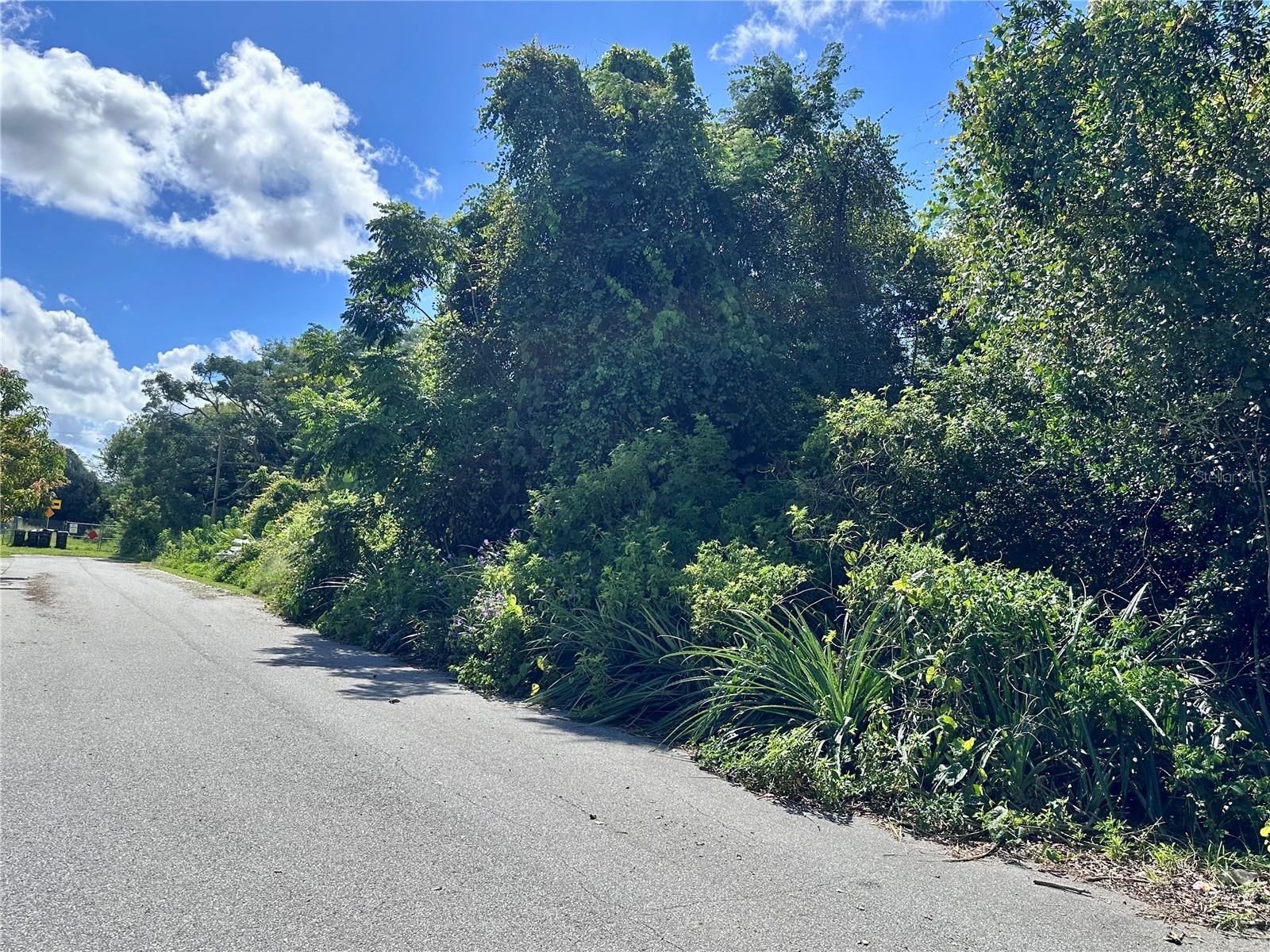 1606 11th St Orlando FL 32824 TB8408246 image27