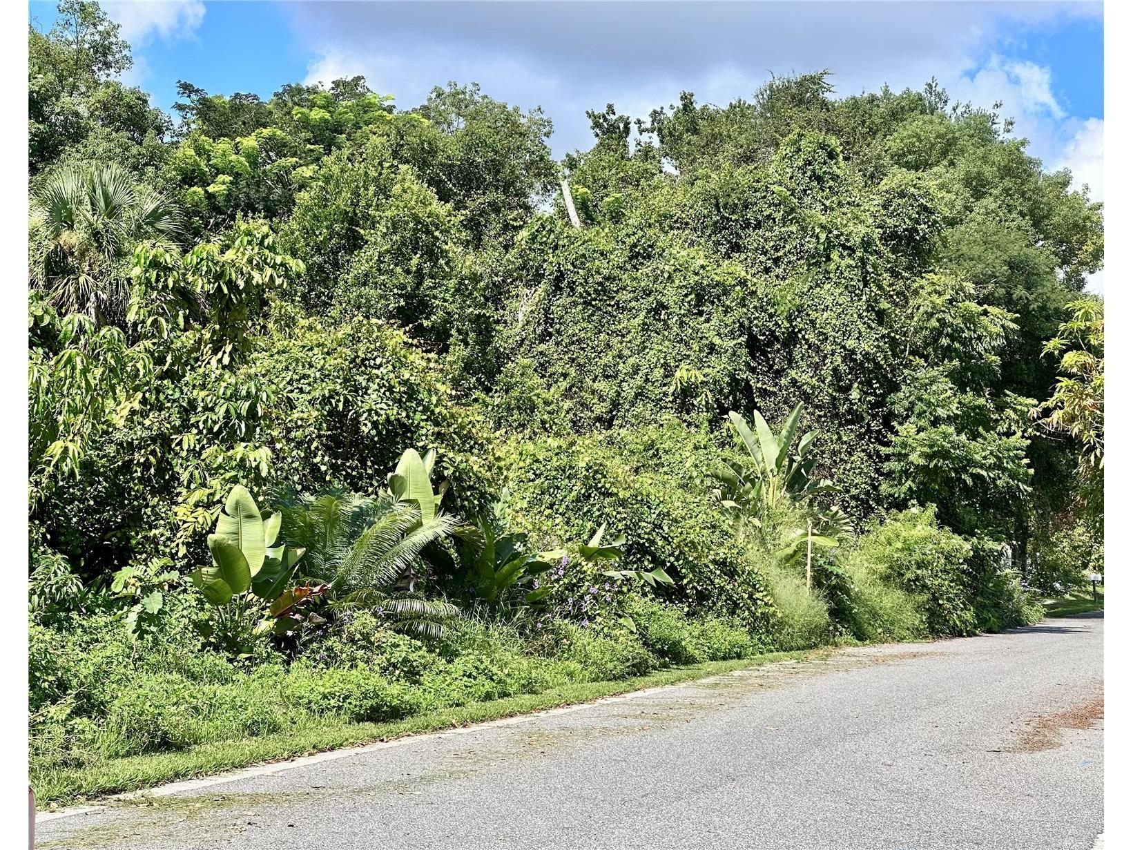 1606 11th St Orlando FL 32824 TB8408246 image28