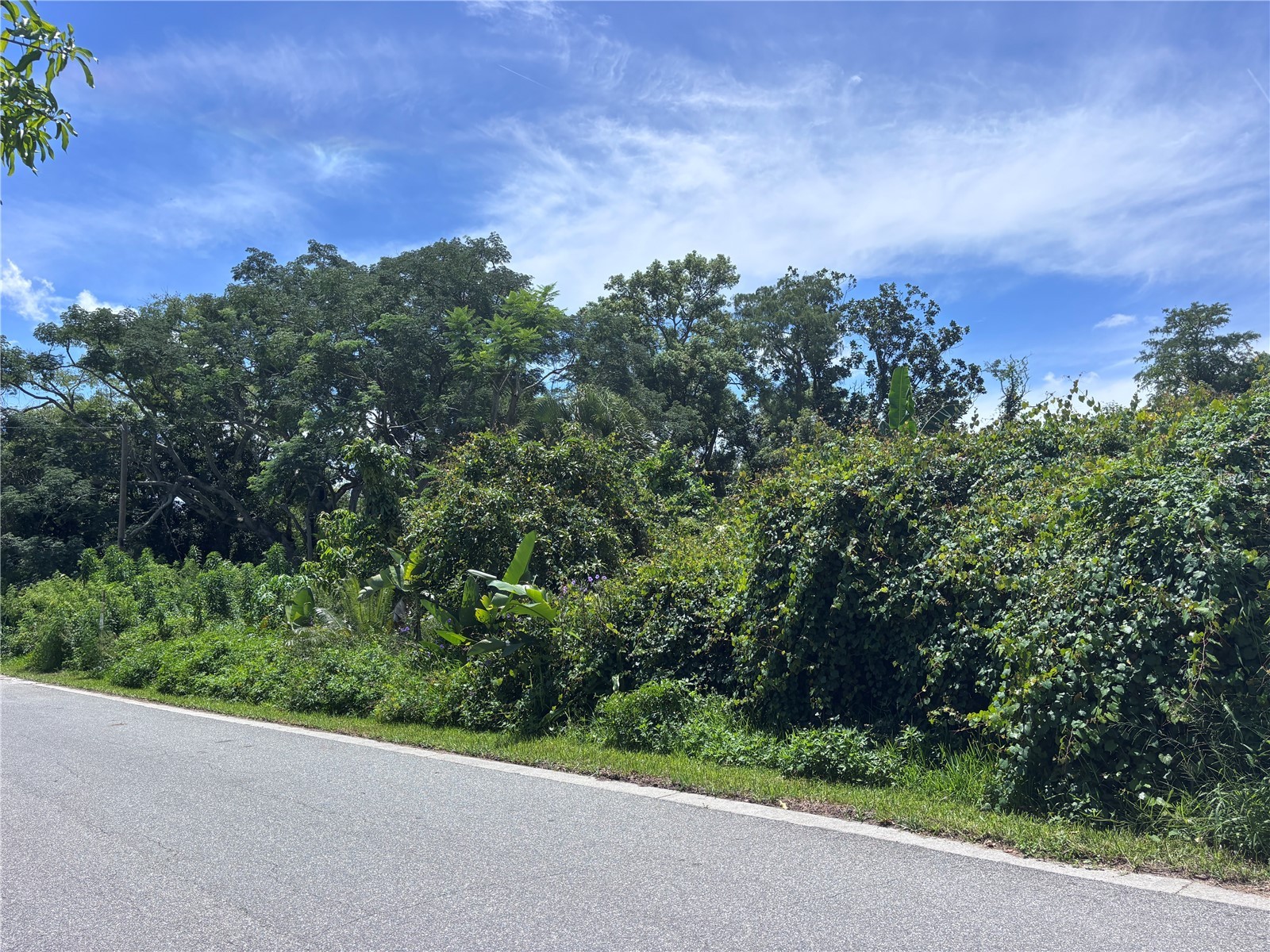 1606 11th St Orlando FL 32824 TB8408246 image3