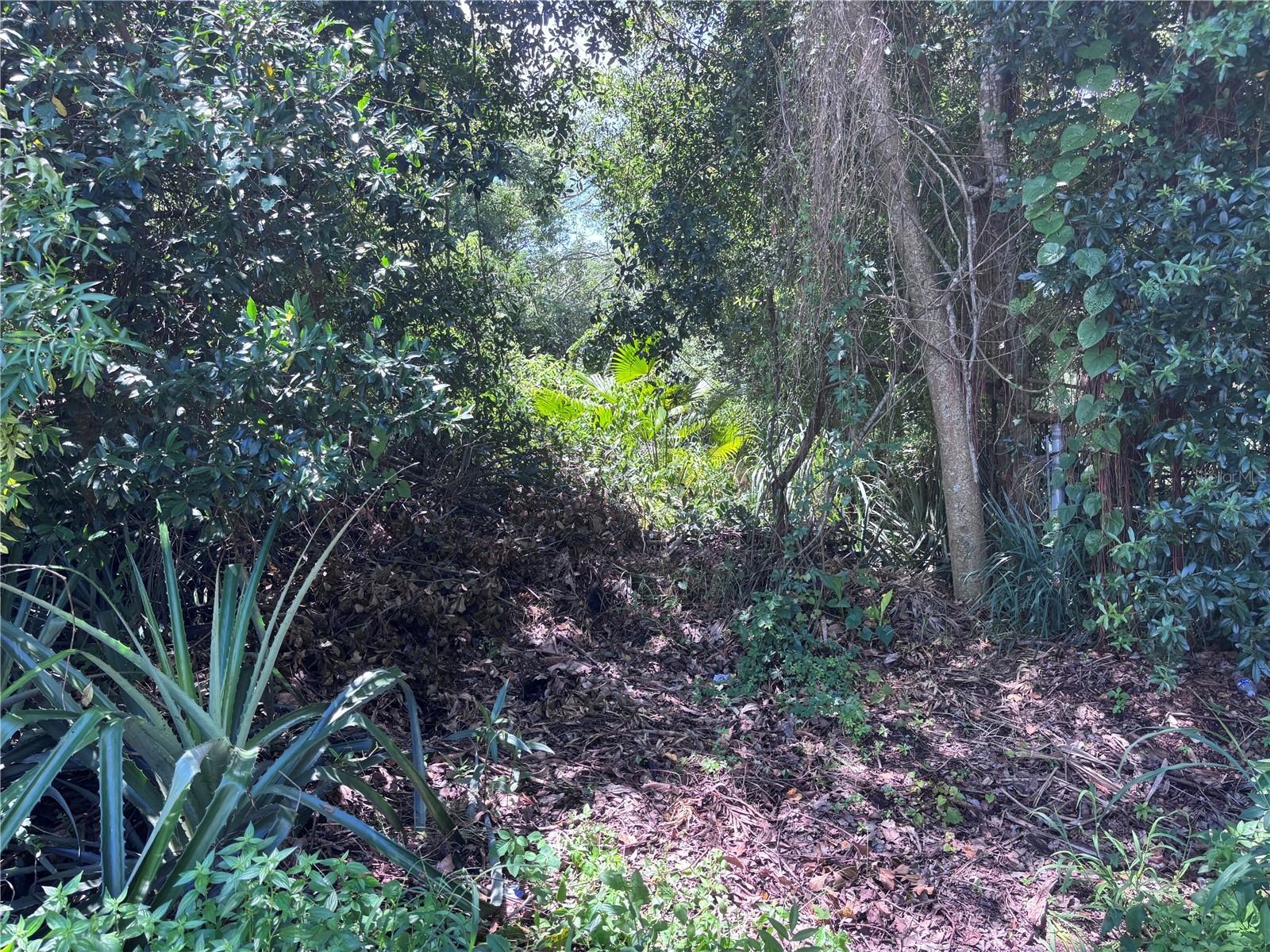 1606 11th St Orlando FL 32824 TB8408246 image4