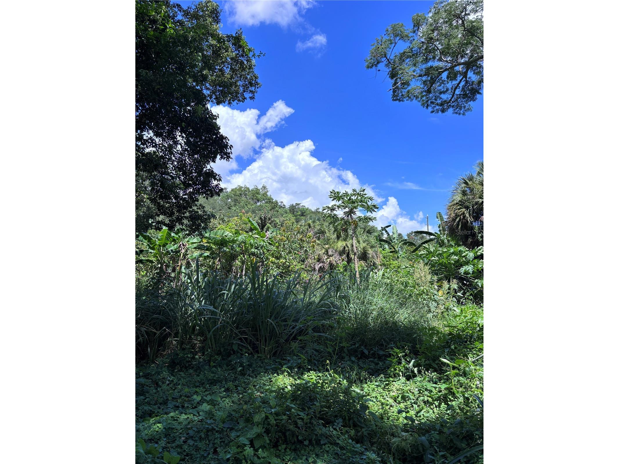 1606 11th St Orlando FL 32824 TB8408246 image5