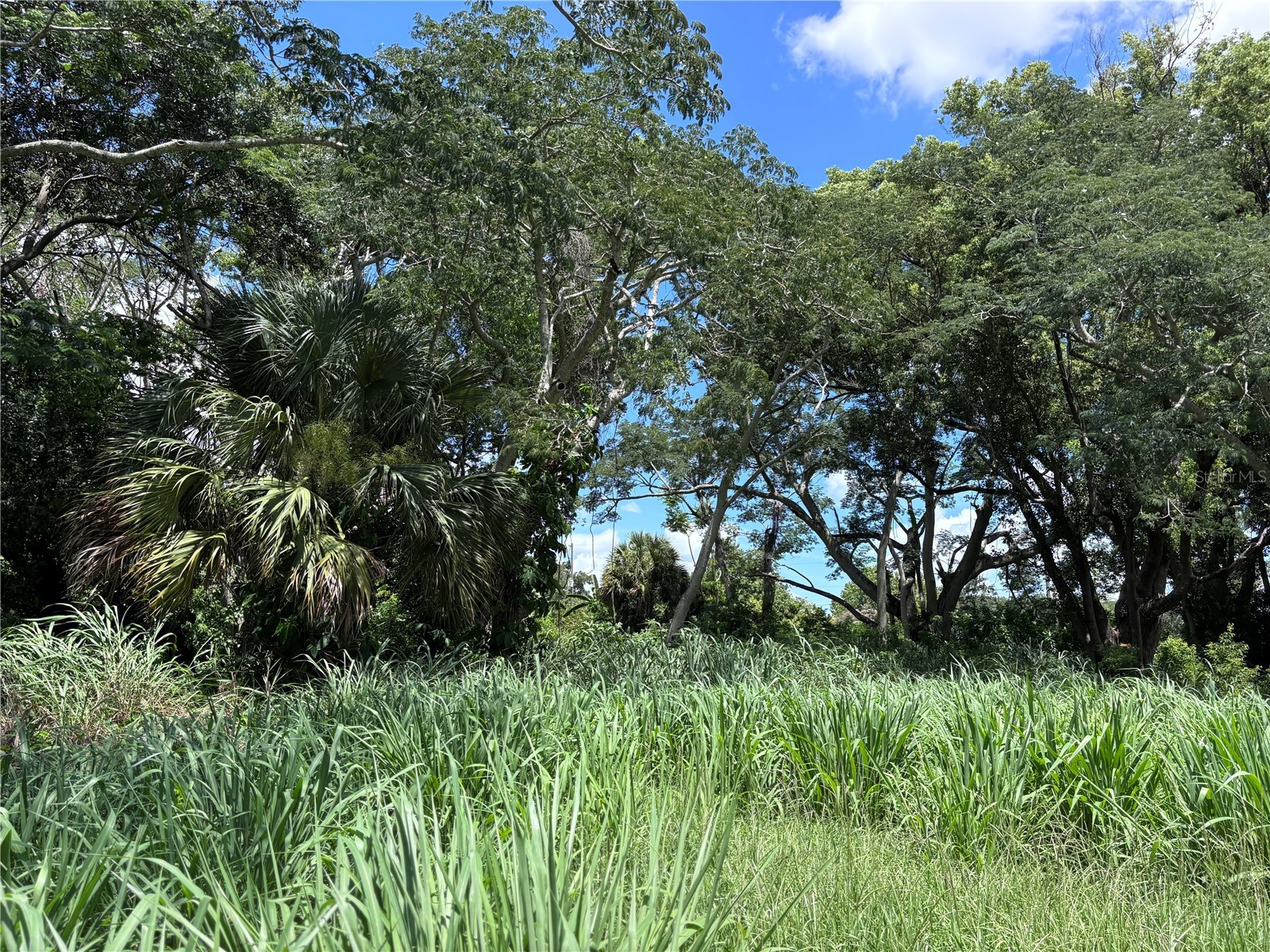 1606 11th St Orlando FL 32824 TB8408246 image6