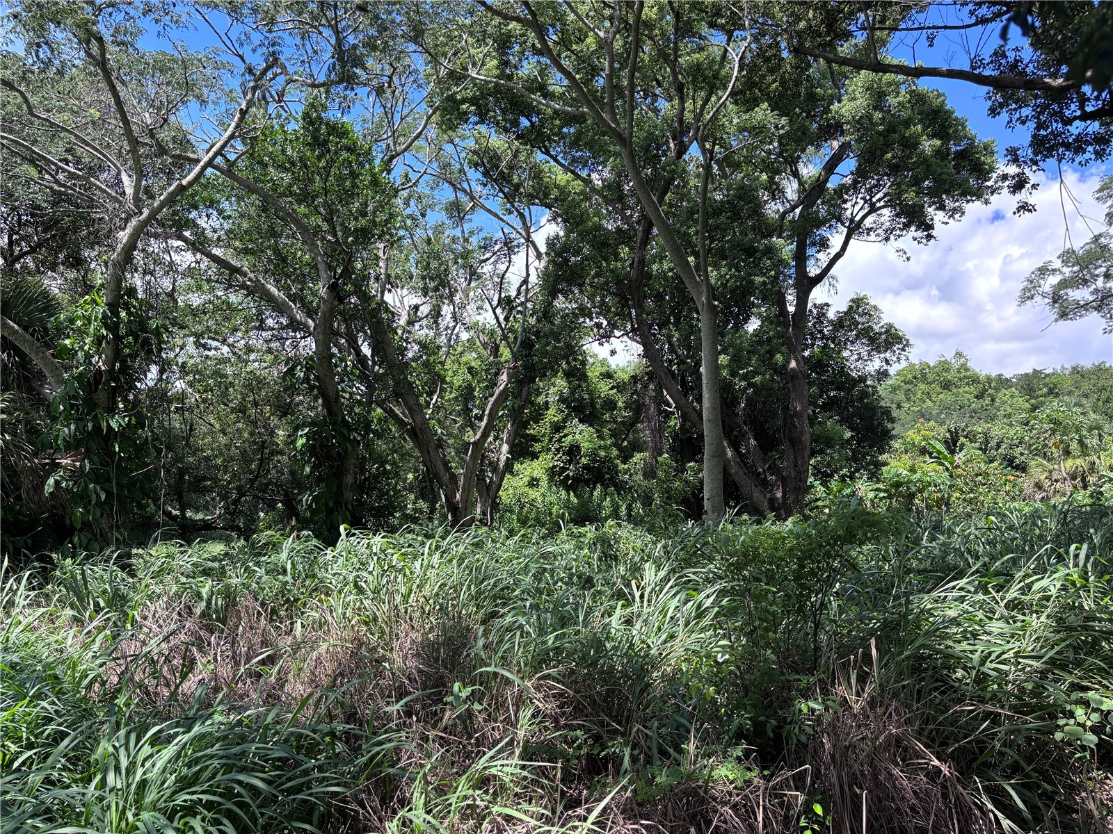 1606 11th St Orlando FL 32824 TB8408246 image7