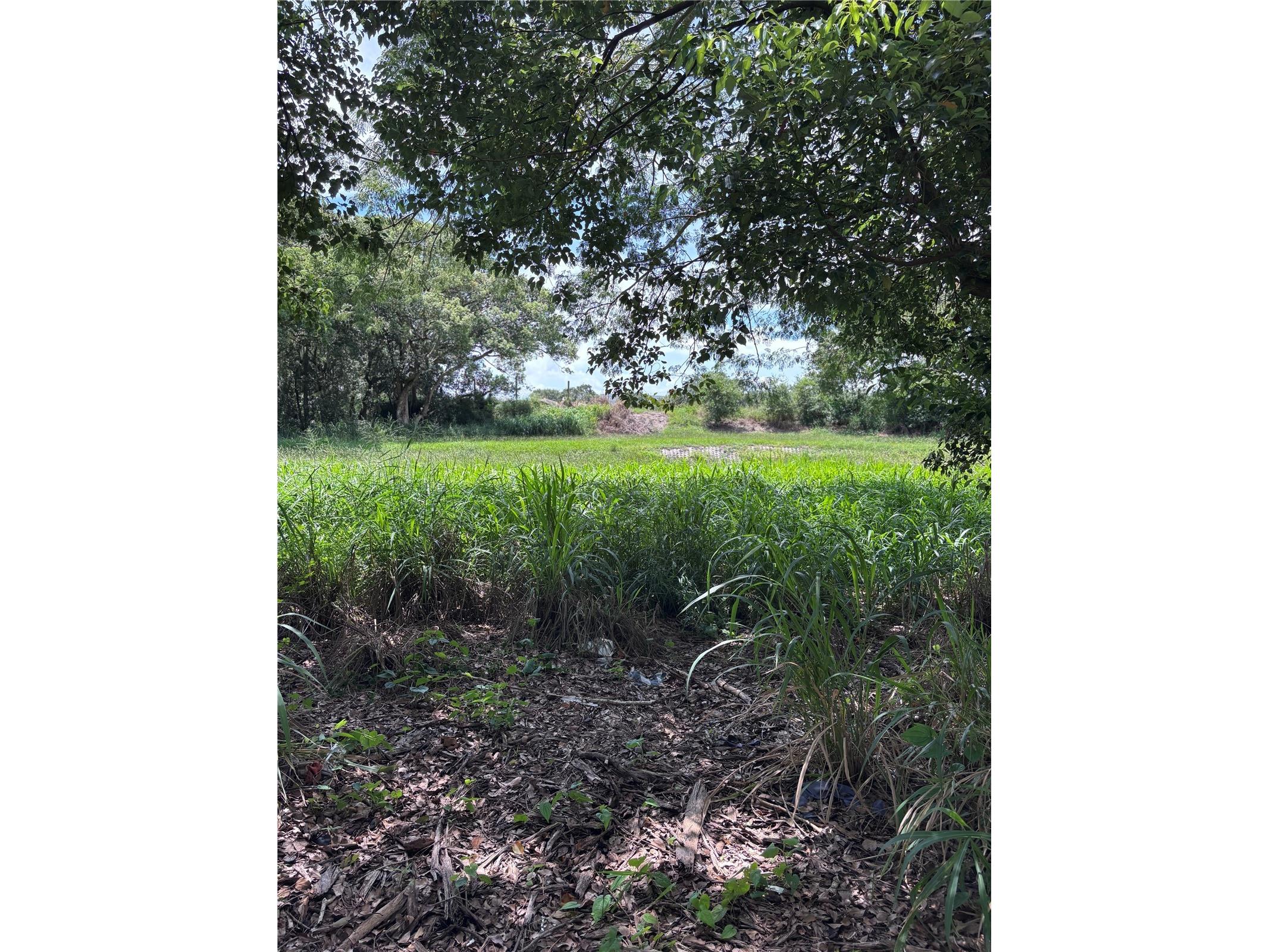 1606 11th St Orlando FL 32824 TB8408246 image8
