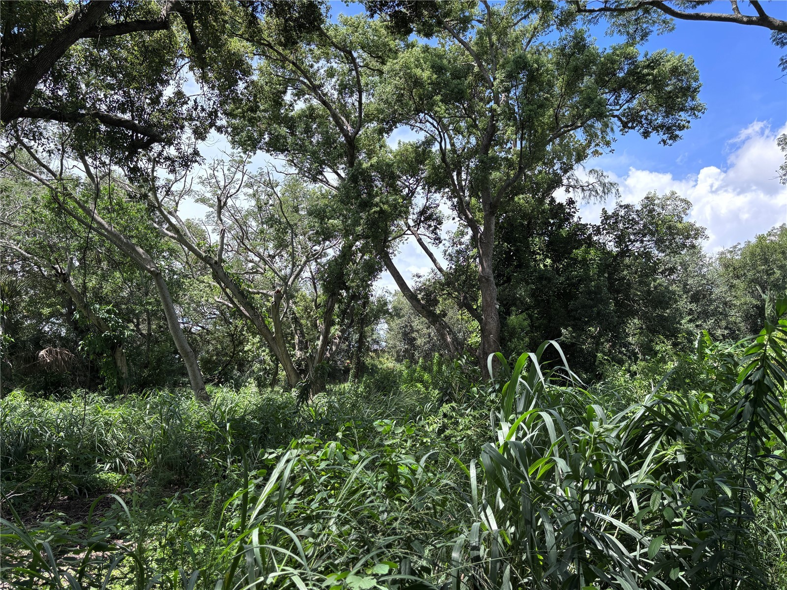 1606 11th St Orlando FL 32824 TB8408246 image9