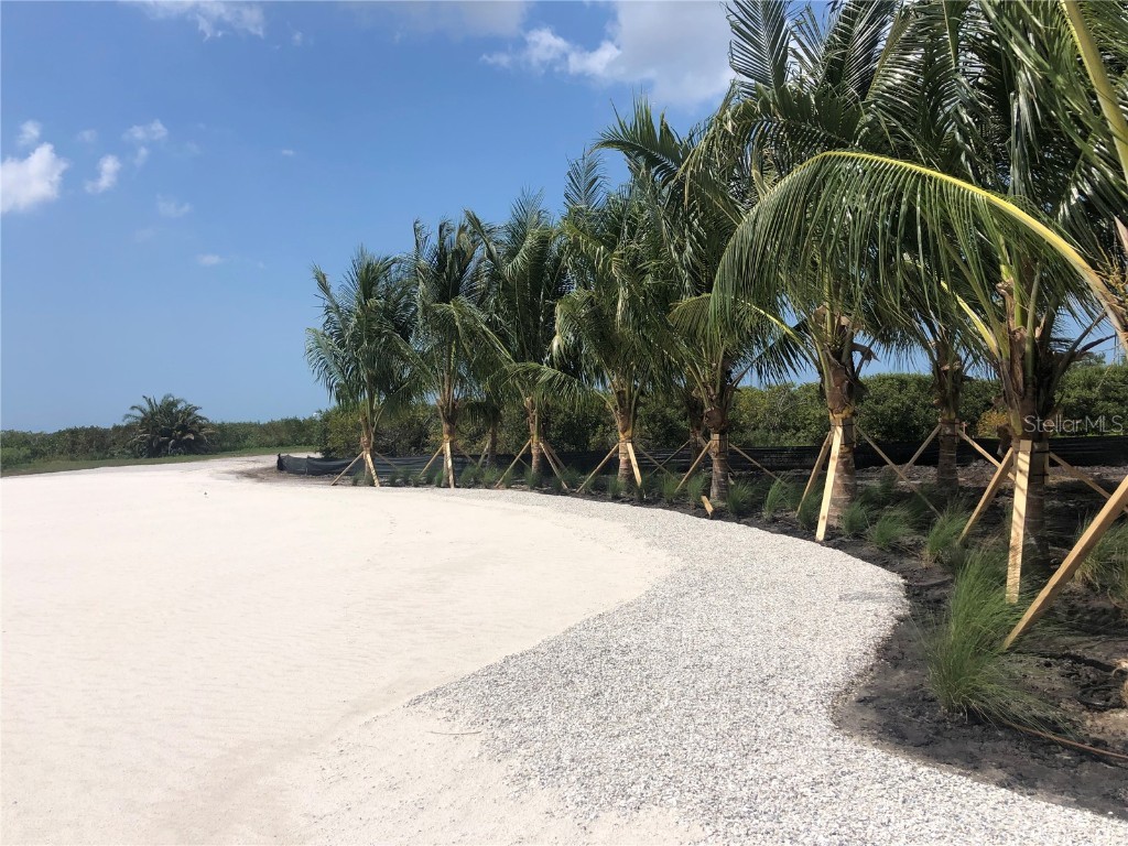 1606 4th Street E Palmetto FL 34221 - MANATEE RIVER A4666941 image19