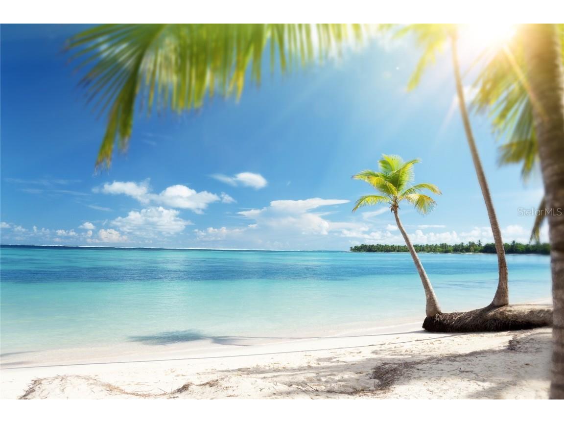 1606 Bunker Hill Drive Sun City Center FL 33573 - Middle lake TB8441356 image96