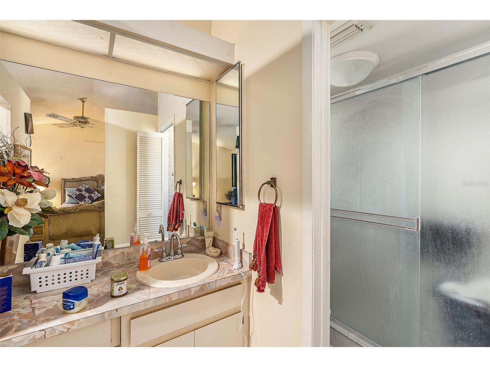 1606 Dusty Rose Lane Brandon FL 33510 TB8500413 image17