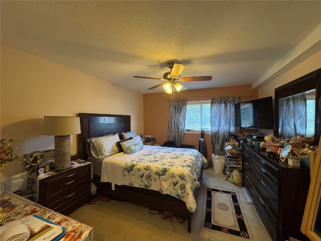 1606 Flint Drive W Clearwater FL 33759 TB8445515 image18