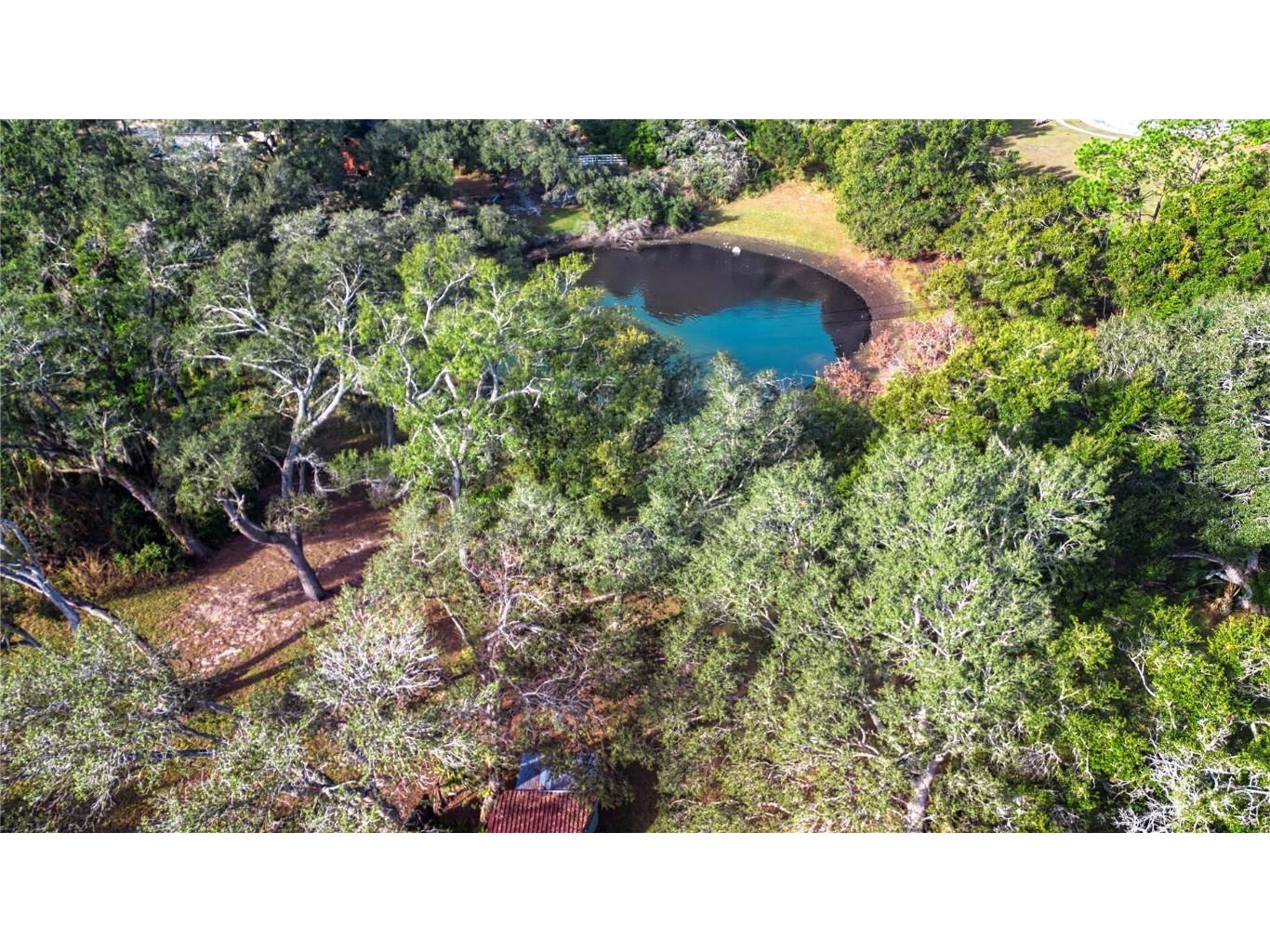 1606 Loghill Place Brandon FL 33510 A4675323 image4