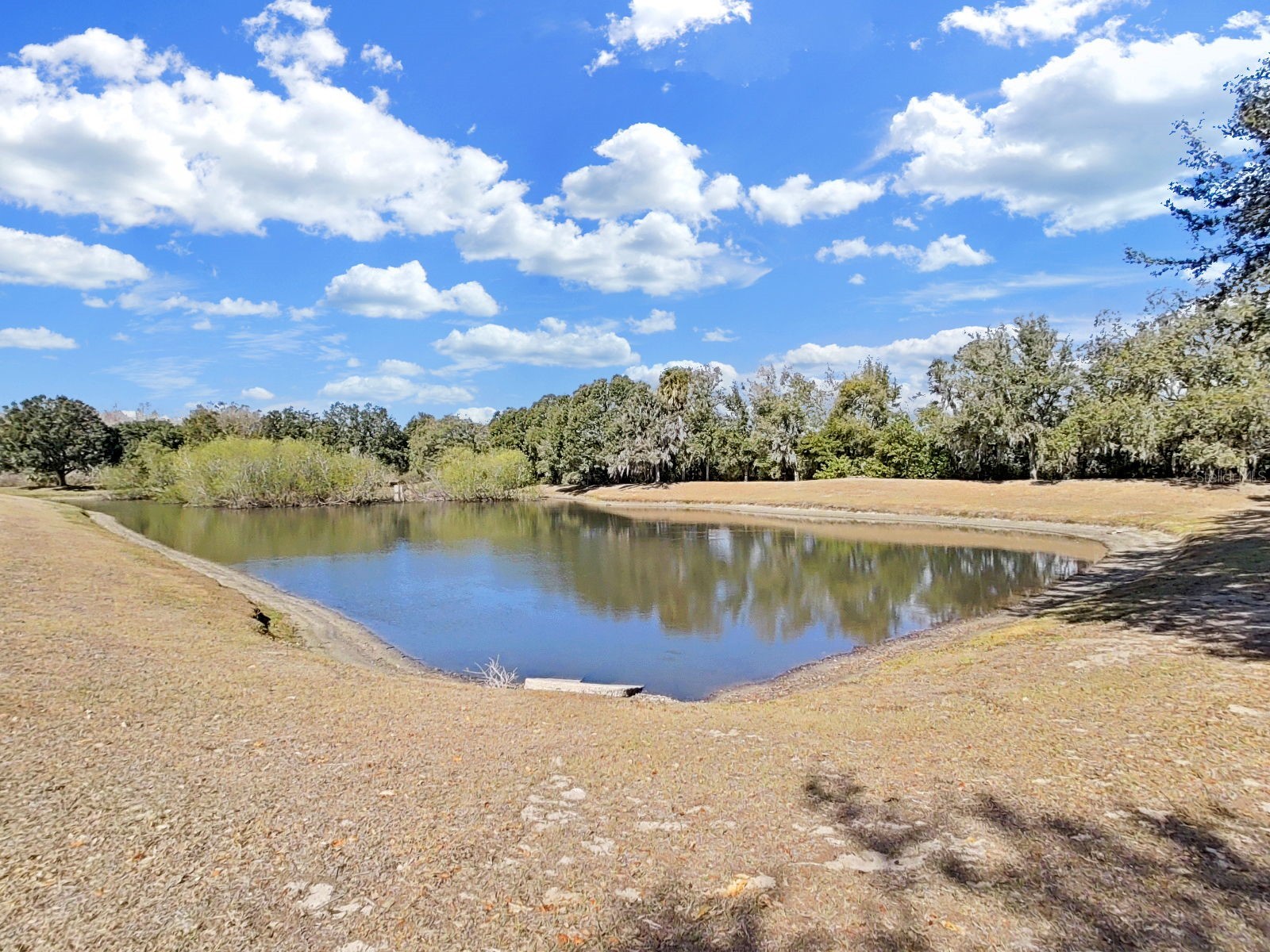 1606 Marsh Wood Drive Seffner FL 33584 TB8478465 image18