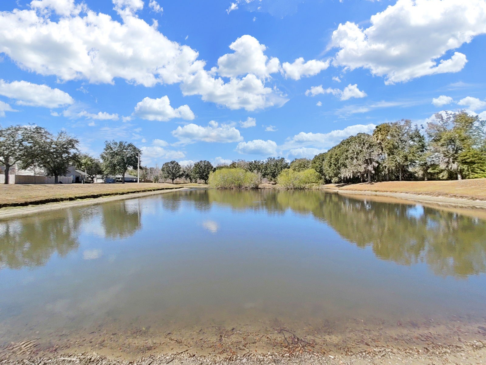 1606 Marsh Wood Drive Seffner FL 33584 TB8478465 image26