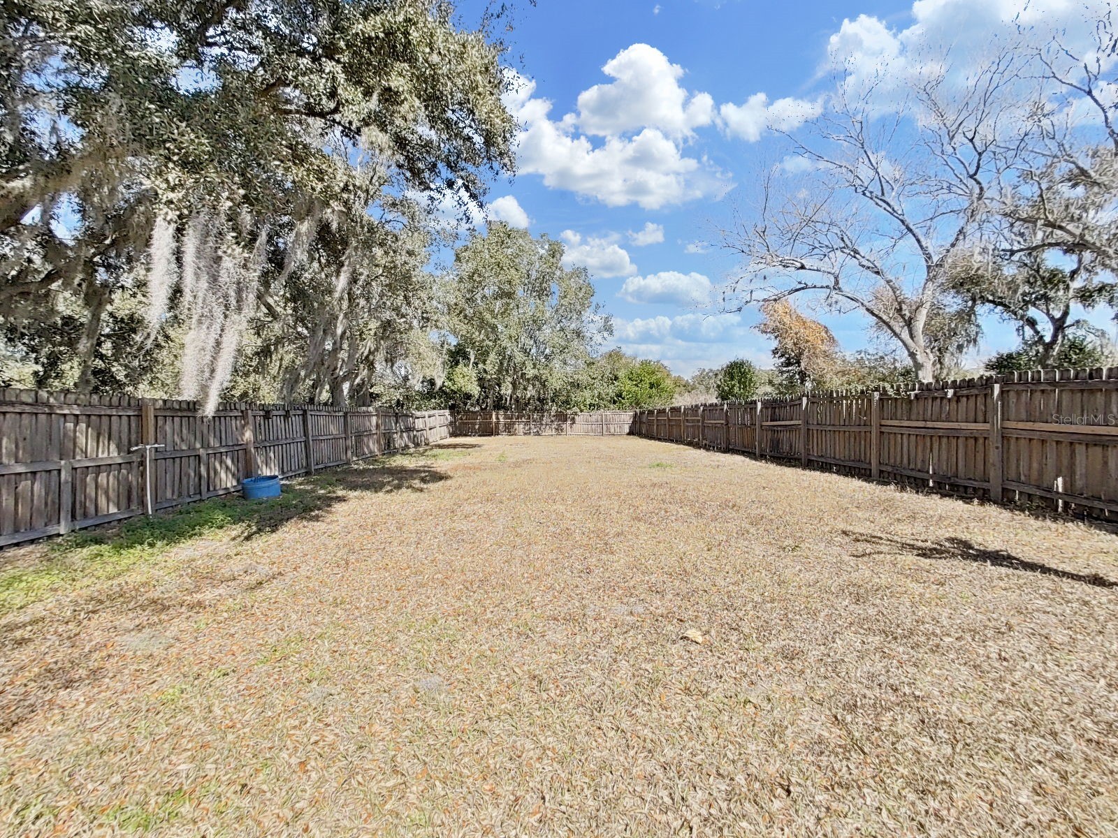 1606 Marsh Wood Drive Seffner FL 33584 TB8478465 image27