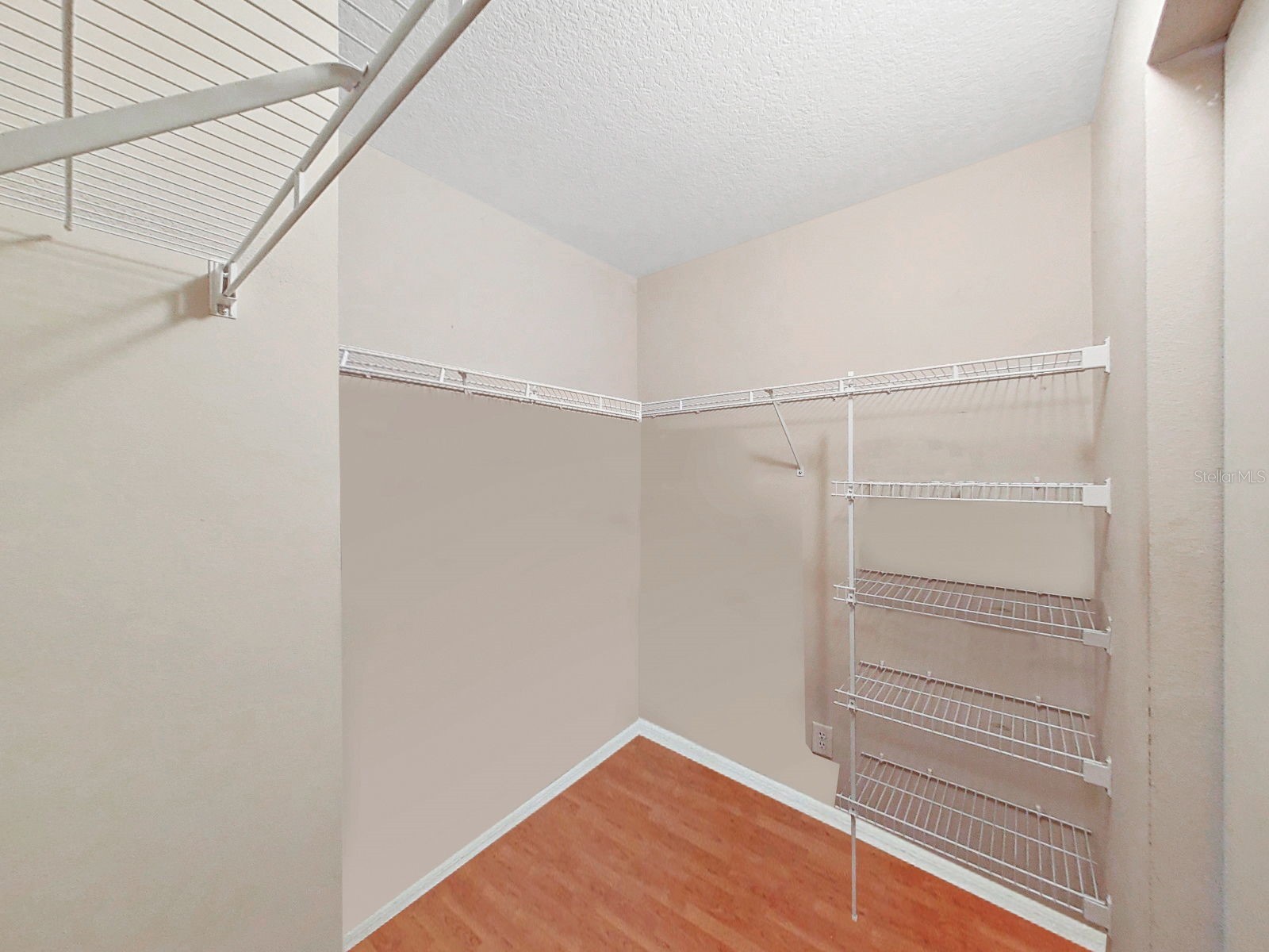1606 Marsh Wood Drive Seffner FL 33584 TB8478465 image54