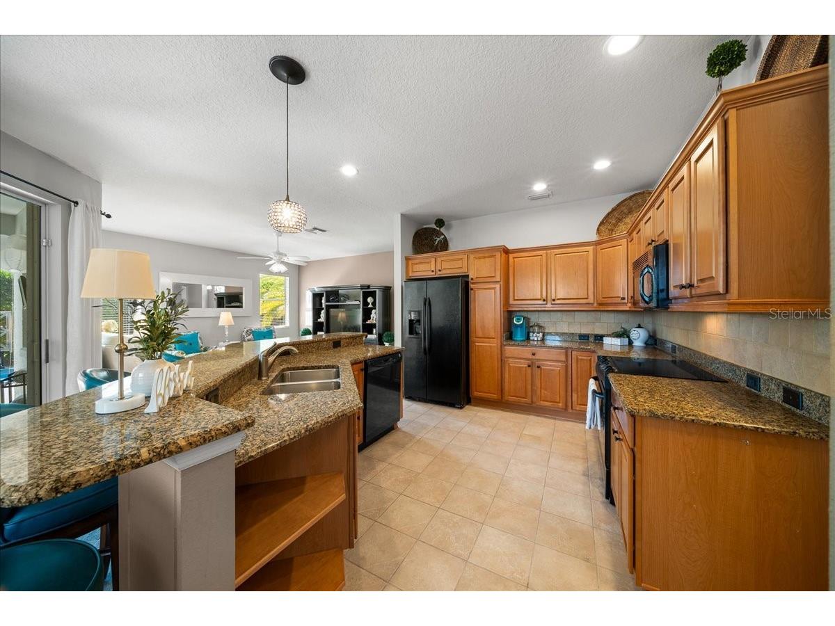 1606 Snelling Avenue The Villages FL 32162 G5112096 image20