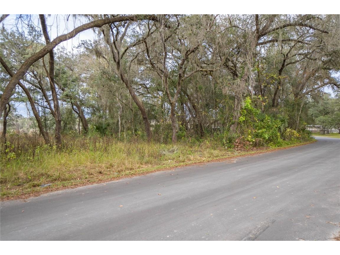 1606 White Lake Drive Inverness FL 34453 W7860432 image1