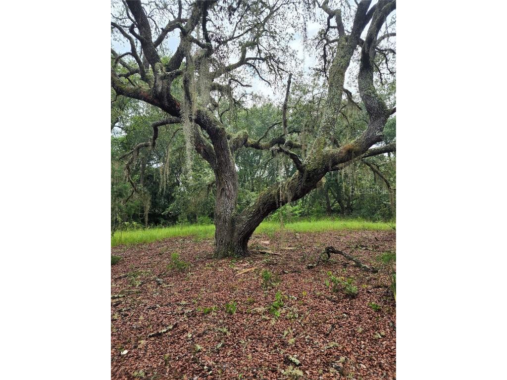 16060 NE 148th Terrace Road Fort Mc Coy FL 32134 GC506758 image1