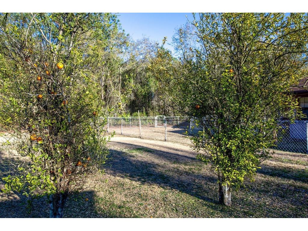 16064 SW County Road 235 Brooker FL 32622 GC537196 image22