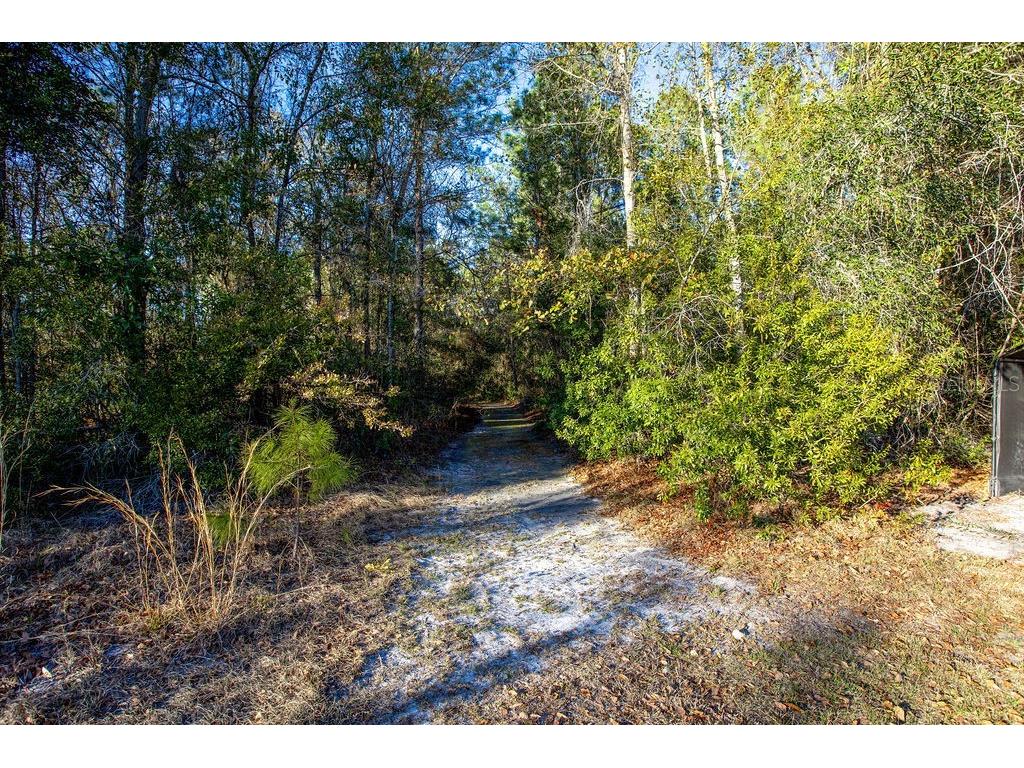 16064 SW County Road 235 Brooker FL 32622 GC537196 image28