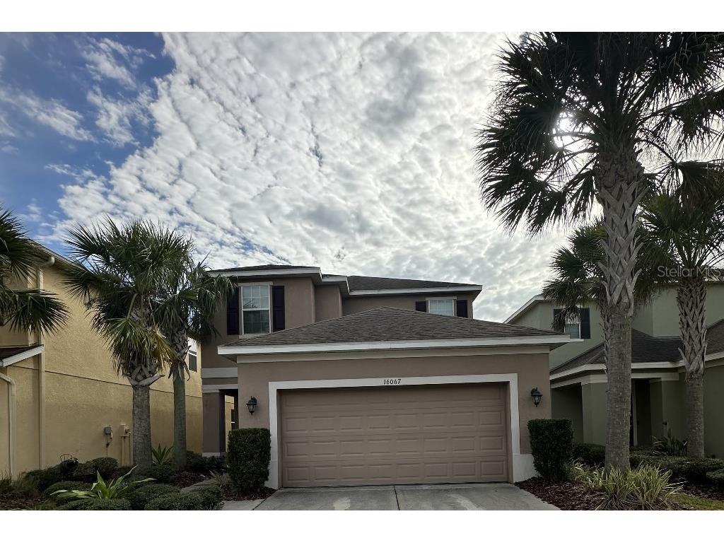 16067 Bella Woods Drive Tampa FL 33647 W7861905 image1