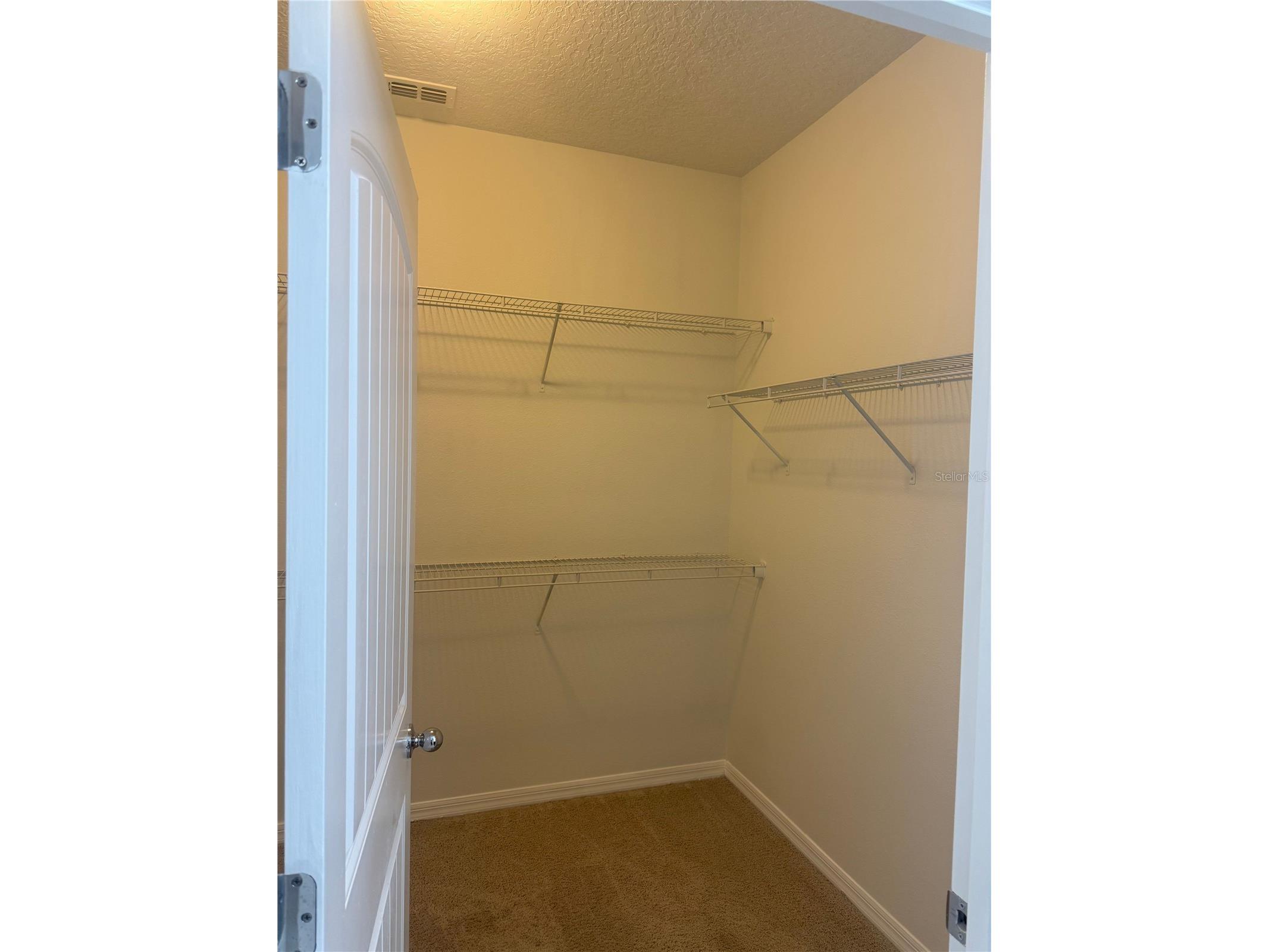 16067 Pebble Bluff Loop Winter Garden FL 34787 S5147791 image24