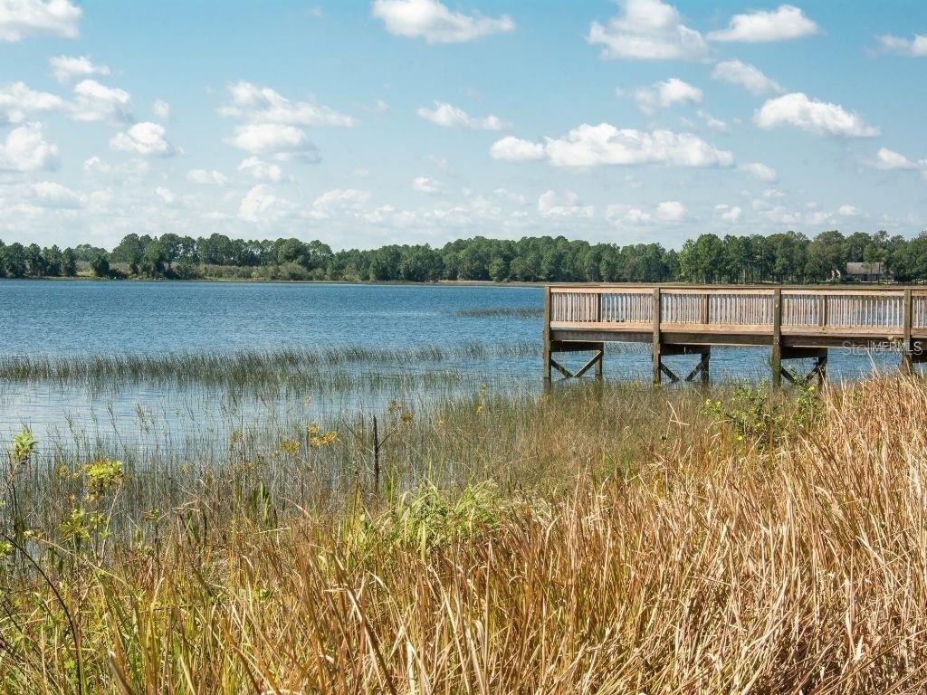 16067 Pebble Bluff Loop Winter Garden FL 34787 S5147791 image41