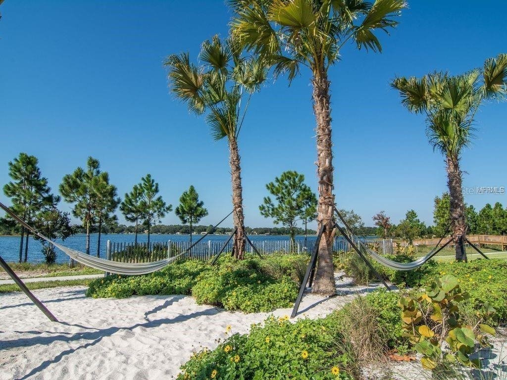 16067 Pebble Bluff Loop Winter Garden FL 34787 S5147791 image45