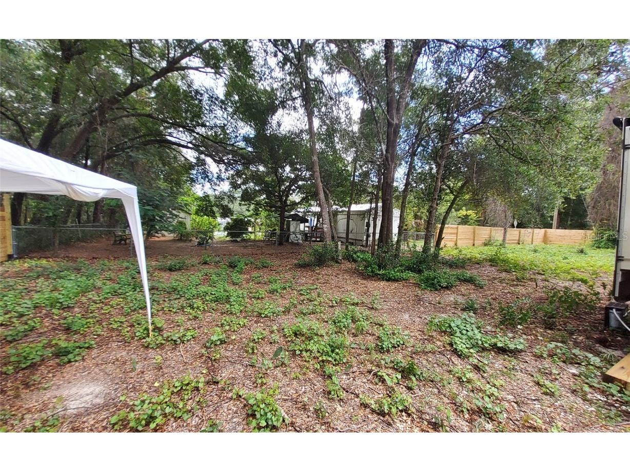 16067 SE 13th Street Ocklawaha FL 32179 - North Lake O6337907 image10